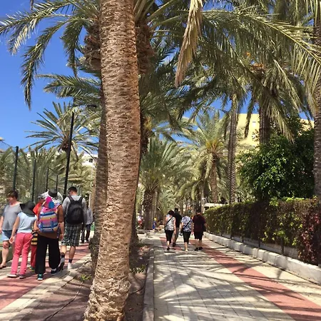 Cindy Golden Bay Seaview Terrace Apartament *