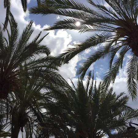 Apartament Cindy Golden Bay Seaview Terrace *