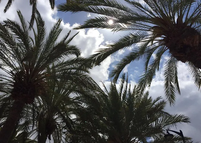 Apartament Cindy Golden Bay Seaview Terrace *